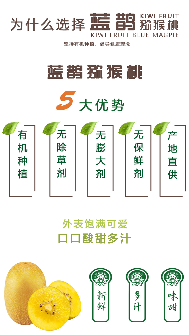 杨凌猕猴桃