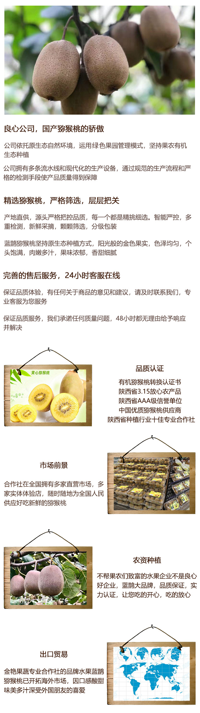 杨凌猕猴桃