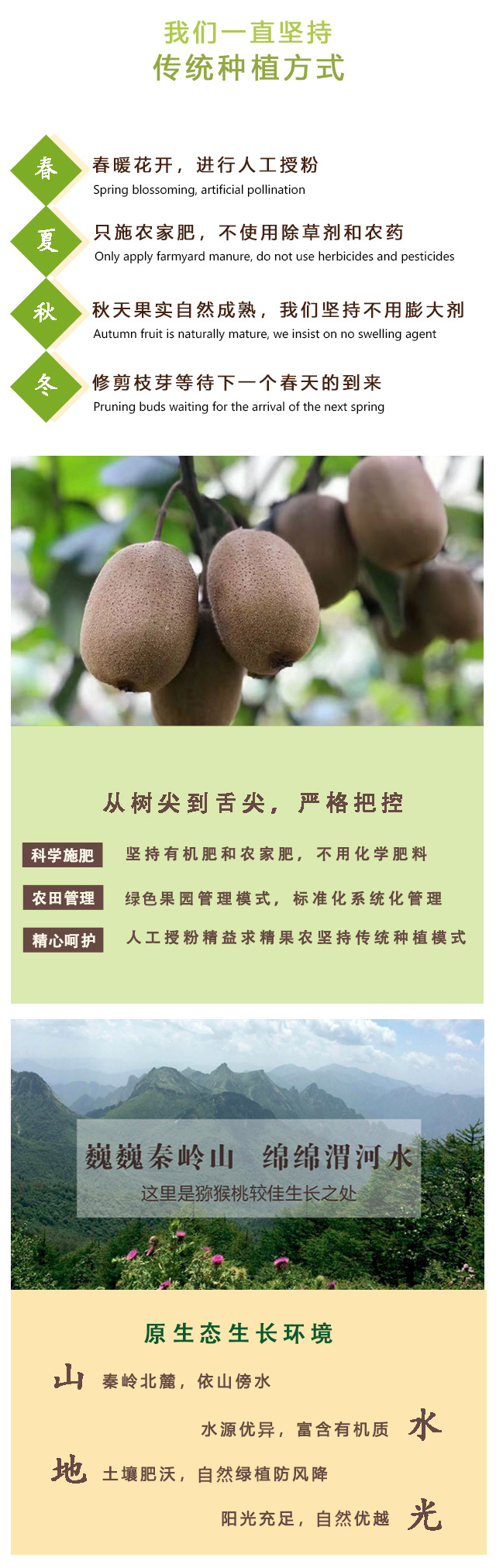 杨凌猕猴桃